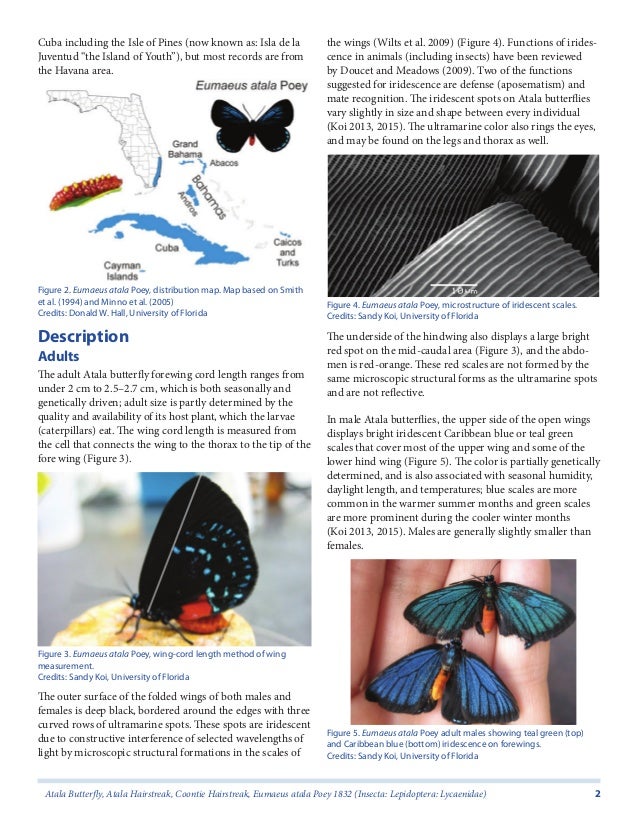 Dissertation atala chateaubriand